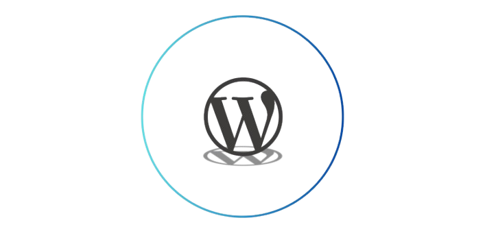 WordPress plugin customization and integration services