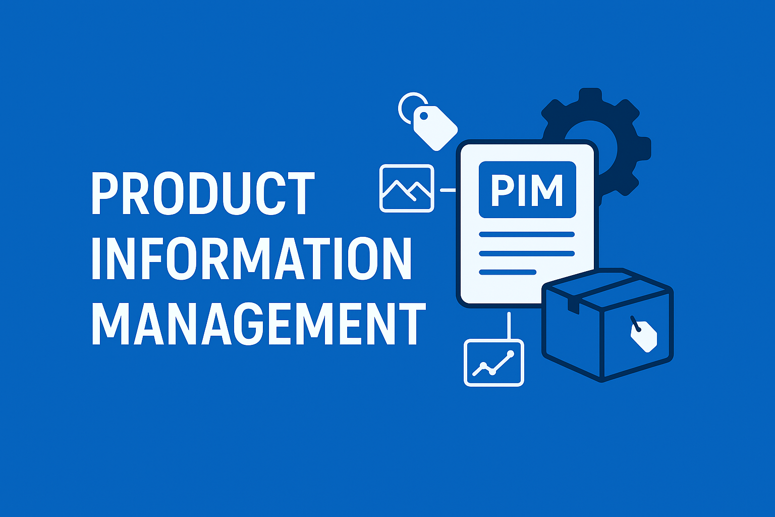 Product information management (PIM)